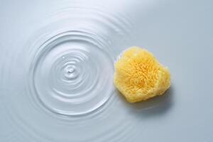 Natural sponge on a blue background with water. photo