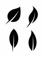 Black color leaf leaves icon set design. Leaf leaves illustration clipart design. vector