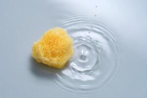 Natural sponge on a blue background with water. photo