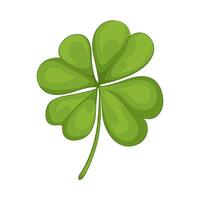 Illustration of clover leaf vector