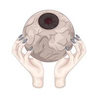ilustración de globo ocular vector