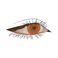 Illustration of beautiful eye vector