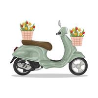 Illustration of scooter vector