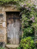 Entrance to a historic manor, framed by antique architectural elements and flanked by potted topiaries, features an aged door photo