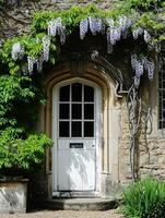 Entrance to a historic manor, framed by antique architectural elements and flanked by potted topiaries, features an aged door photo