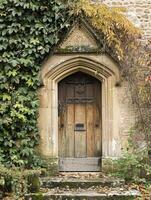 Entrance to a historic manor, framed by antique architectural elements and flanked by potted topiaries, features an aged door photo