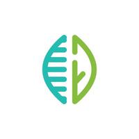 a logo for a company that makes a leaf vector