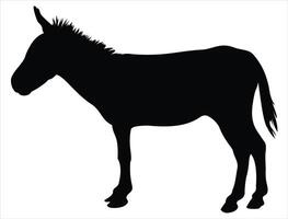 Mule silhouette on white background vector