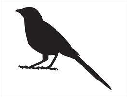 Mockingbird silhouette on white background vector