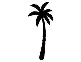 Palm tree silhouette on white background vector