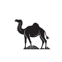 Camel silhouette on white background. Camel illustration, camel logo. vector