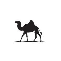 Camel silhouette on white background. Camel illustration, camel logo. vector