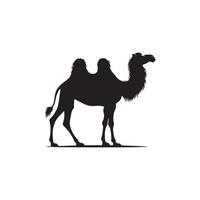 Camel silhouette on white background. Camel illustration, camel logo. vector