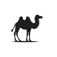 Camel silhouette on white background. Camel illustration, camel logo. vector