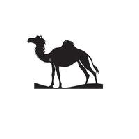 Camel silhouette on white background. Camel illustration, camel logo. vector