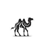 Camel silhouette on white background. Camel illustration, camel logo. vector