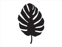 Palm leaf silhouette on white background vector