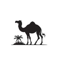 Camel silhouette on white background. Camel illustration, camel logo. vector