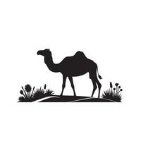 Camel silhouette on white background. Camel illustration, camel logo. vector