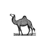 Camel silhouette on white background. Camel illustration, camel logo. vector