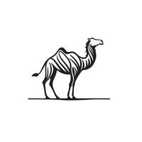 Camel silhouette on white background. Camel illustration, camel logo. vector