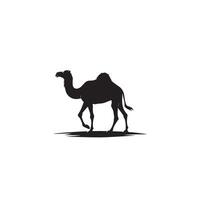 Camel silhouette on white background. Camel illustration, camel logo. vector