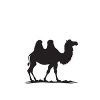 Camel silhouette on white background. Camel illustration, camel logo. vector