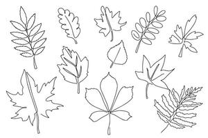 Set of autumn leaves, hand drawn, doodle style. Autumn leaves in line art style. Design for stickers, logo, website and mobile app. vector