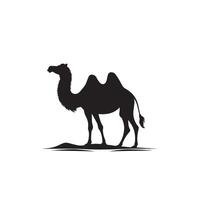 Camel silhouette on white background. Camel illustration, camel logo. vector