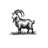 Goat silhouette on white background. Goat logo, Goat illustration vector