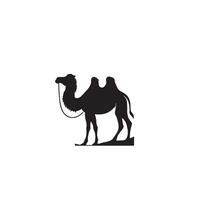 Camel silhouette on white background. Camel illustration, camel logo. vector