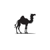Camel silhouette on white background. Camel illustration, camel logo. vector