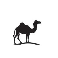 Camel silhouette on white background. Camel illustration, camel logo. vector