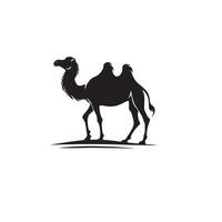 Camel silhouette on white background. Camel illustration, camel logo. vector