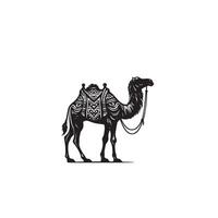 Camel silhouette on white background. Camel illustration, camel logo. vector