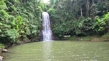 un hermosa salvaje Pensilvania sy cascada en hombre guarida, Vietnam video