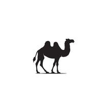 Camel silhouette on white background. Camel illustration, camel logo. vector