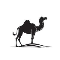 Camel silhouette on white background. Camel illustration, camel logo. vector