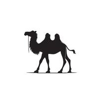 Camel silhouette on white background. Camel illustration, camel logo. vector