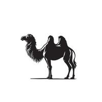 Camel silhouette on white background. Camel illustration, camel logo. vector