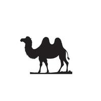 Camel silhouette on white background. Camel illustration, camel logo. vector