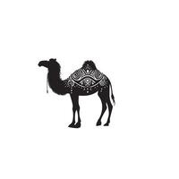 Camel silhouette on white background. Camel illustration, camel logo. vector