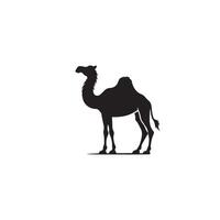 Camel silhouette on white background. Camel illustration, camel logo. vector