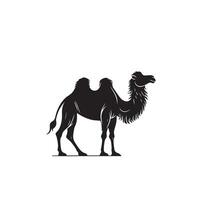 Camel silhouette on white background. Camel illustration, camel logo. vector