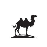 Camel silhouette on white background. Camel illustration, camel logo. vector