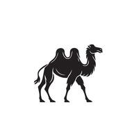 Camel silhouette on white background. Camel illustration, camel logo. vector