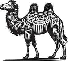 Sketch of walking camel vector