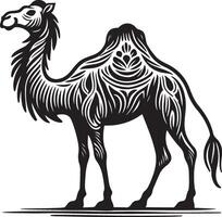 Sketch of walking camel vector