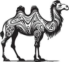 Sketch of walking camel vector