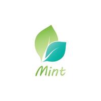 Mint leaf logo element template and symbol vector